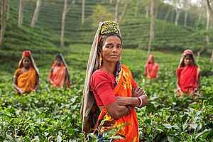 Frauen auf einer Teeplantage in Indien