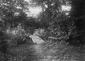 Rudolf Steiner Bank