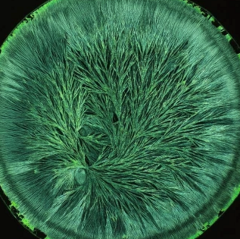 Athmann et al.